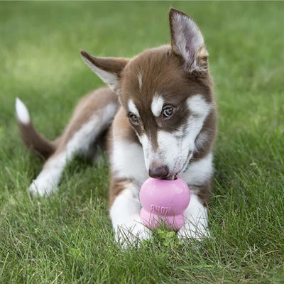 Kong Easy Treat Puppy 226 GR